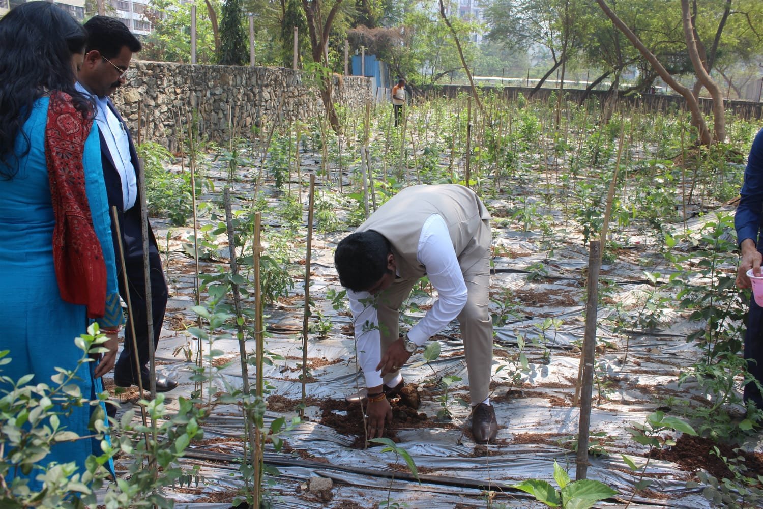 MTD NGO community programs